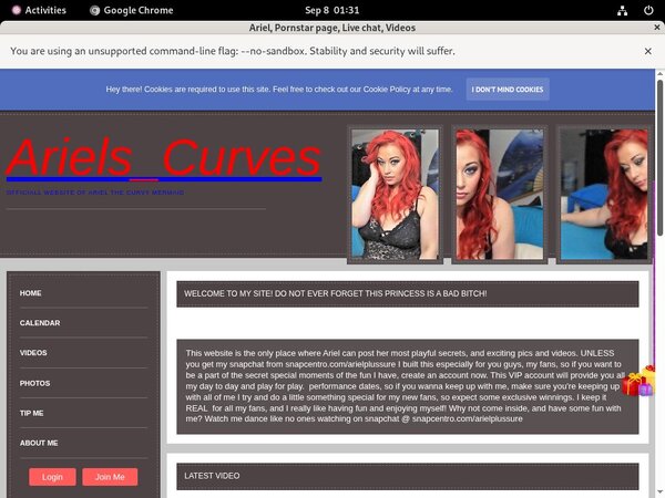 Ariel Site Rip Download