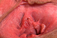 Black Gape My Pussy s2