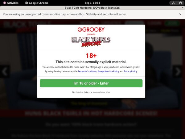 Black TGirls Hardcore Username Password Black TGirls Hardcore Username Password