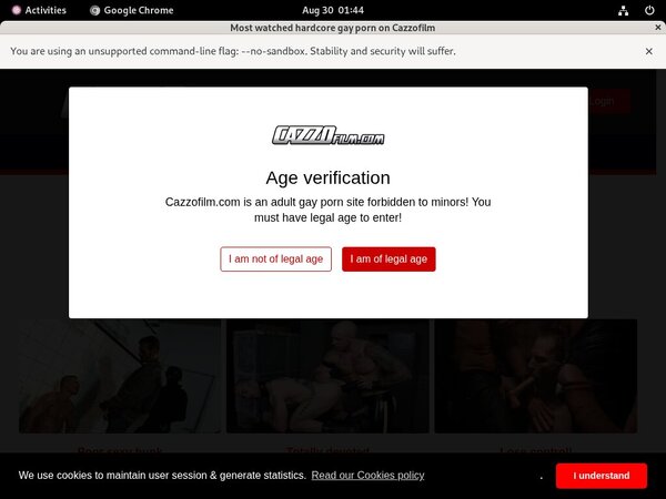 Cazzo Website Password