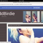 Free Baddbirdie.modelcentro.com Code