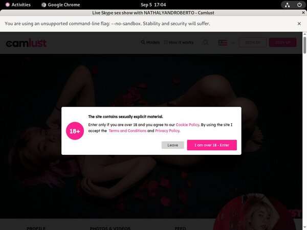 Free Camlust.com Hacked Passwords