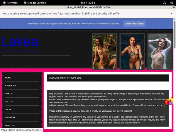 Free Lakea-model.com Hacked Passwords