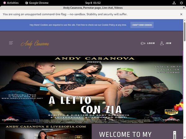 Free Logins Net Andycasanova