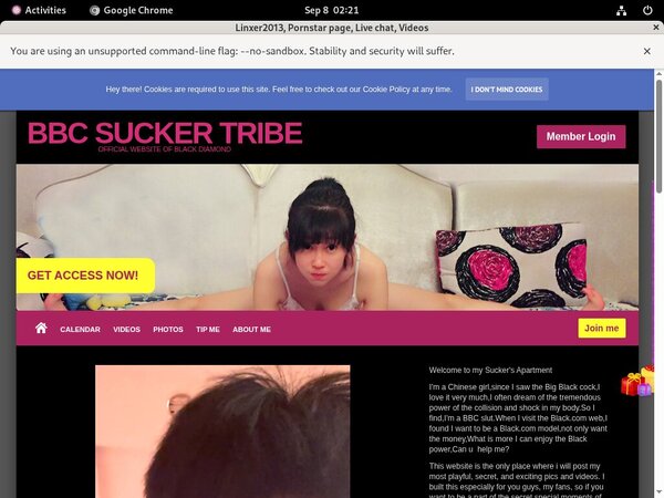 Free Premium Linxer2013.modelcentro.com
