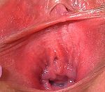 Gapemypussy Profile