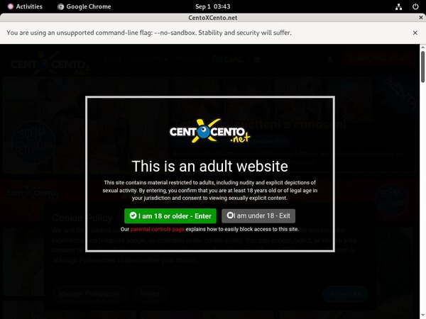 Gay Centoxcento.net