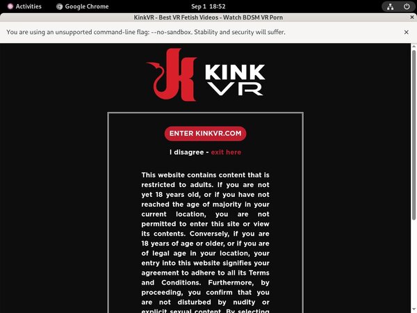 Kinkvr Accept Pay Pal