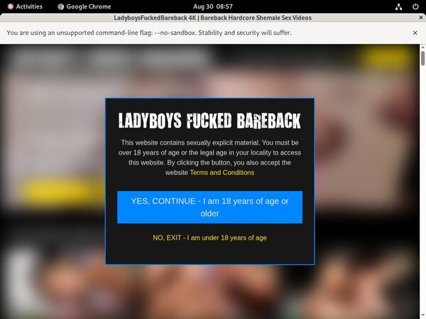 Ladyboys Fucked Bareback Bank Payment