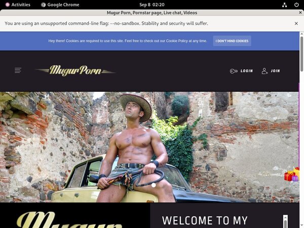 Mugursworld Using Paypal