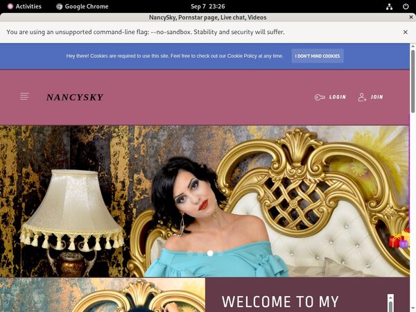 NancySky Wiki