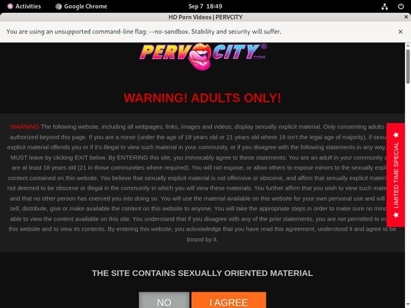 Pervcity.com Bank Payment