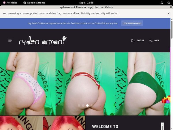 Rydenarmani.com Site-rip