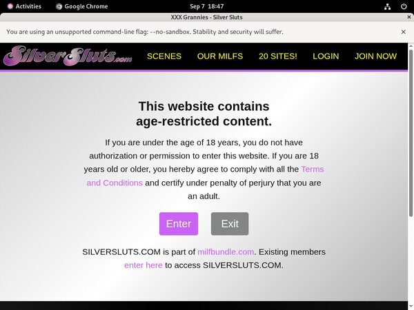 Silver Sluts Discount Acc