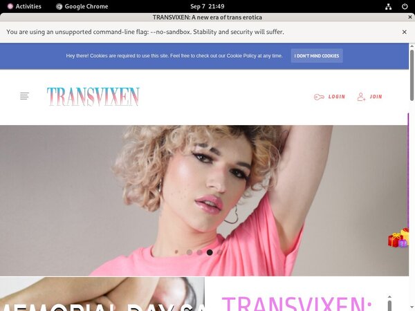 Transvixen Femdom
