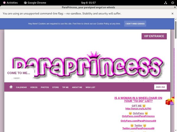 Valid ParaPrincess Passwords