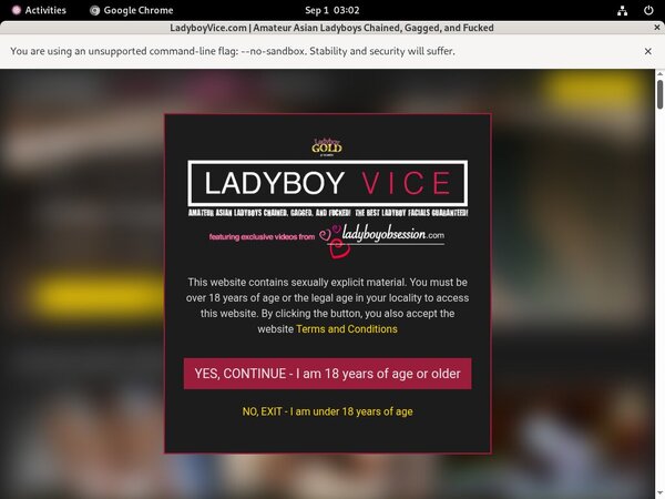 Discount Ladyboyvice.com Promo Code