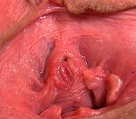 Gape My Pussy Join Via Paypal