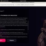 VR Bangers Web